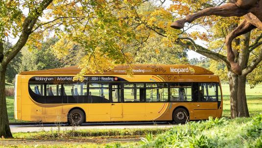 leopard bus travelling through the borough